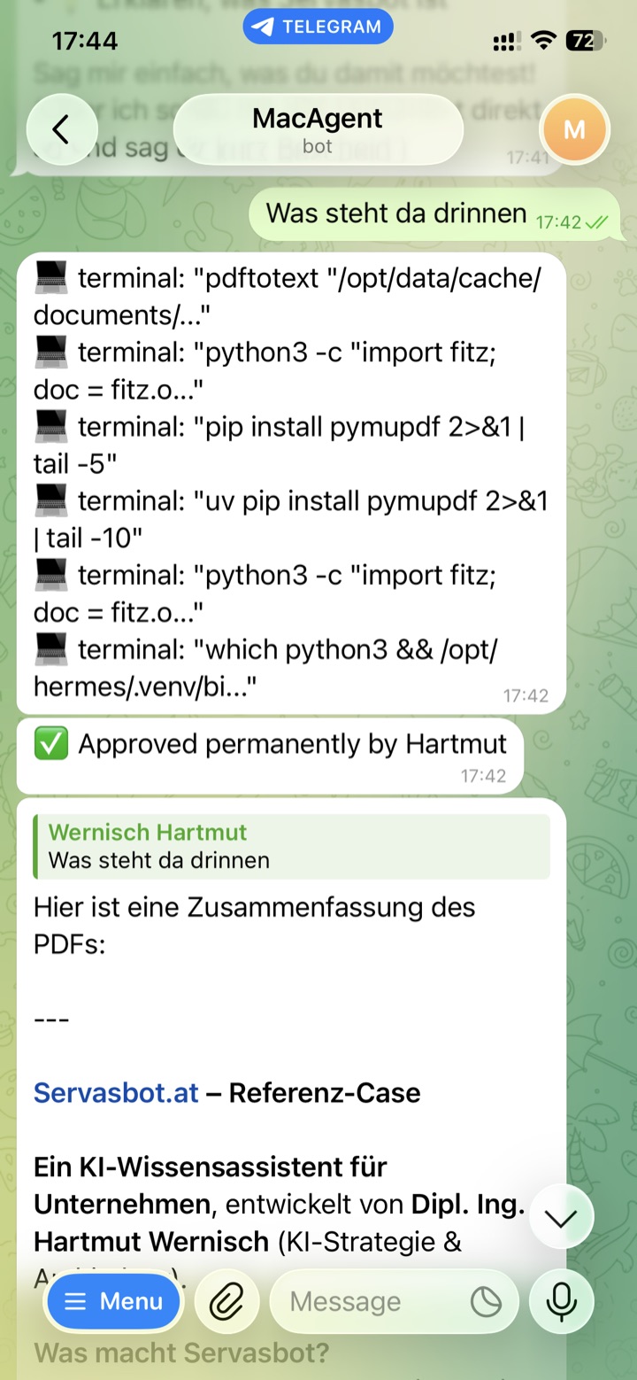 Der Agent installiert sich selbst das PDF-Werkzeug pymupdf, liest die Datei und liefert eine Zusammenfassung