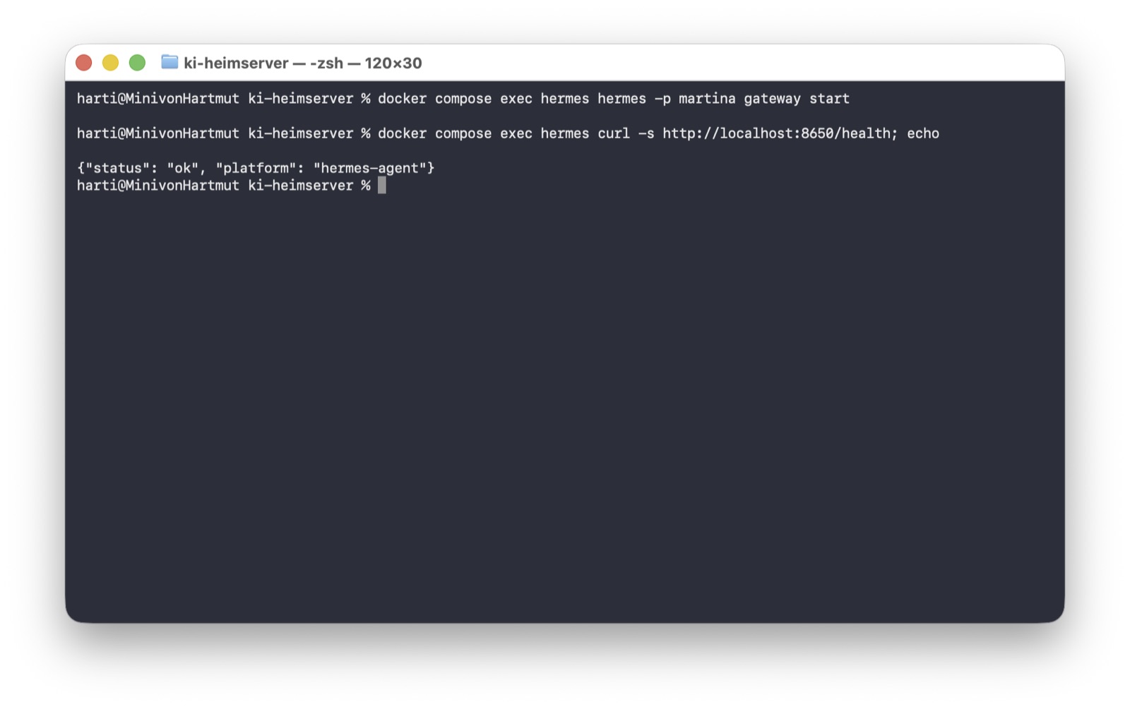 Terminal: nach dem Start von Martinas Gateway antwortet der Health-Check auf Port 8650 mit , ihr Agent läuft damit containerintern.