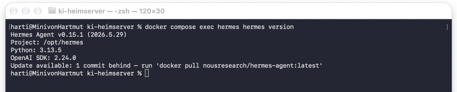 Terminal: meldet die alte Version v0.15.1 und den Hinweis, dass ein Update bereitsteht.